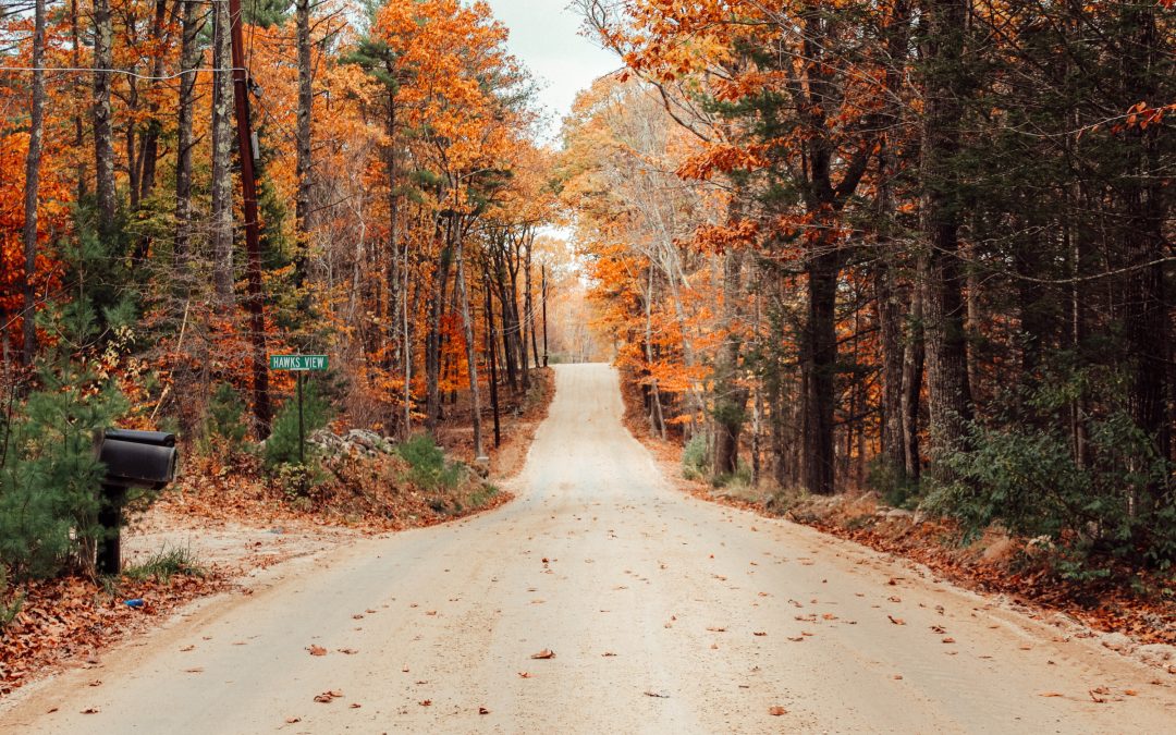 Keep SEO Local for the Holidays