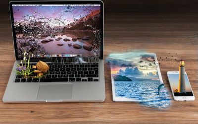 Exciting New Web Development Trends to Elevate Your Business