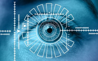 Unlock the Potential of Website Accessibility and Reach More Customers