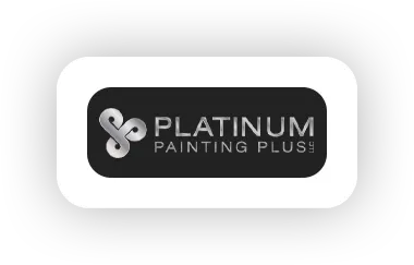 Platinum Painting Plus Logo
