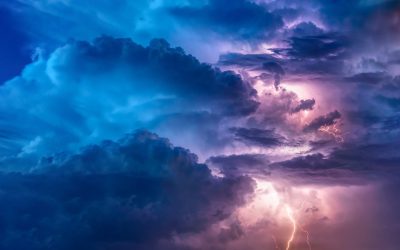 Navigating the Storm: Social Media Crisis Tips for Local Businesses