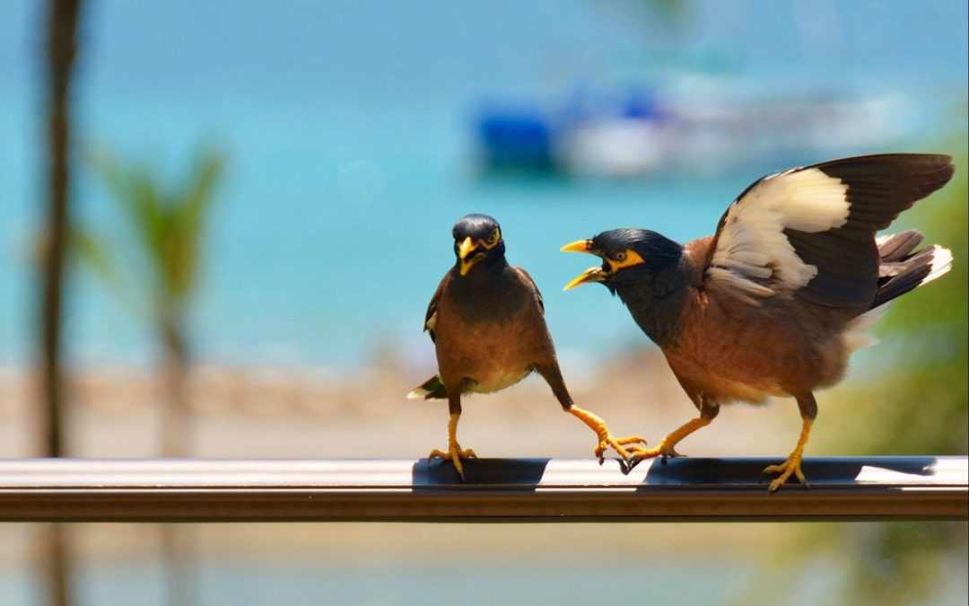 4 Reputation Management Pitfalls (And How to Avoid Them)